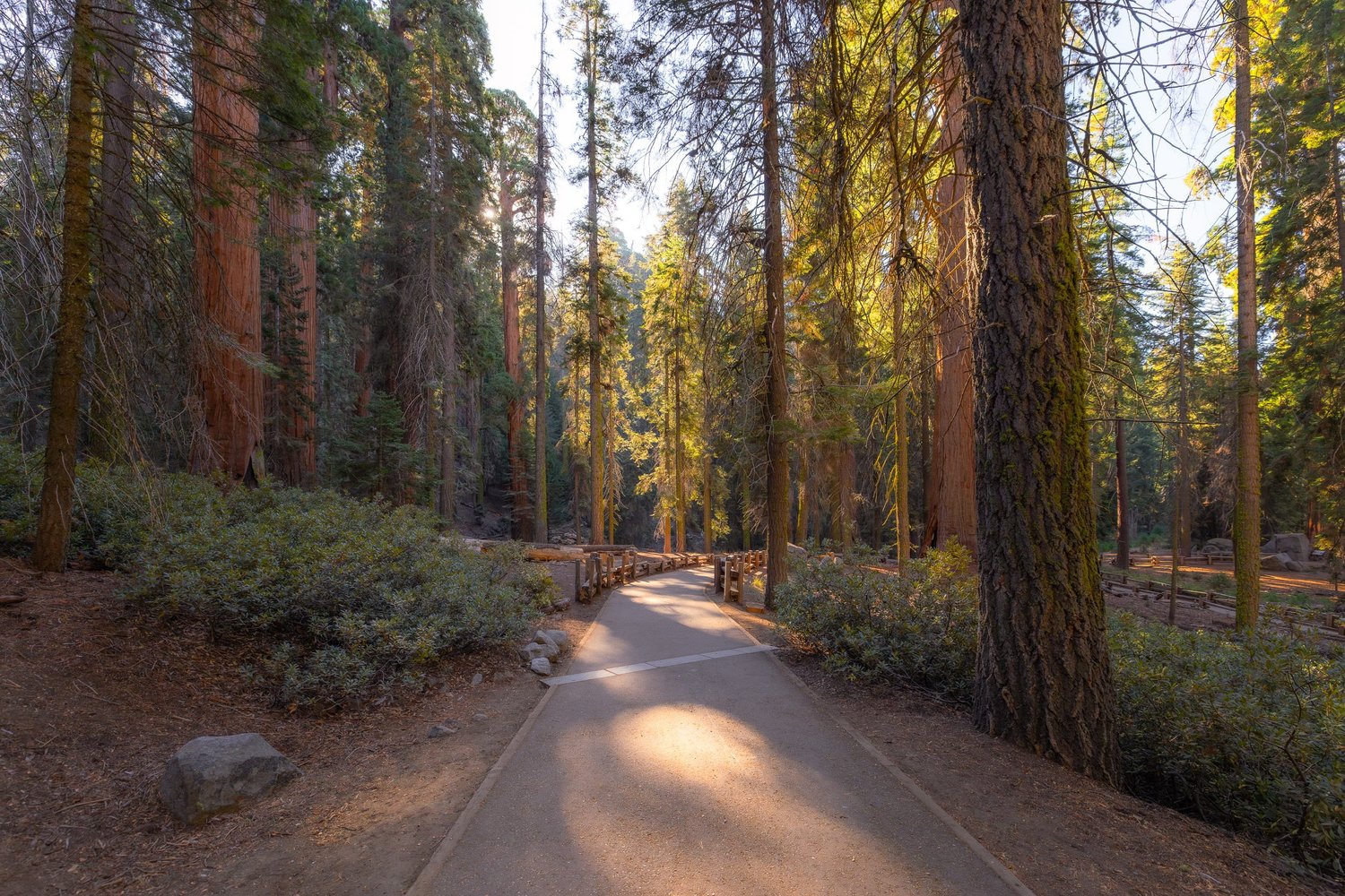 Sequoia and Kings Canyon destination photography