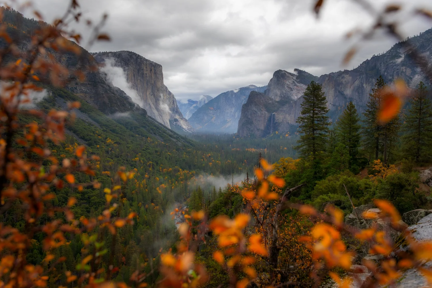 Tenaya Lodge / Yosemite in the Fall — autumn in Yosemite