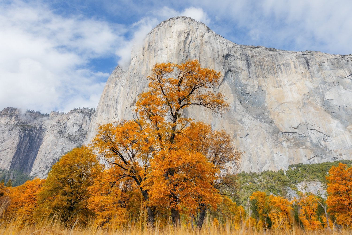 Tenaya Lodge / Yosemite in the Fall — campaign photography