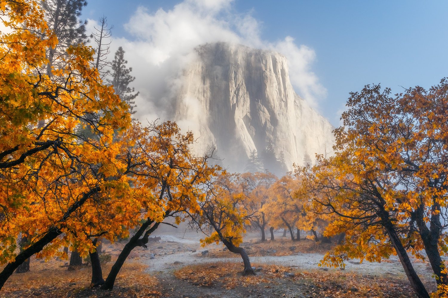 Autumn in Yosemite for Tenaya Lodge — photograph 6