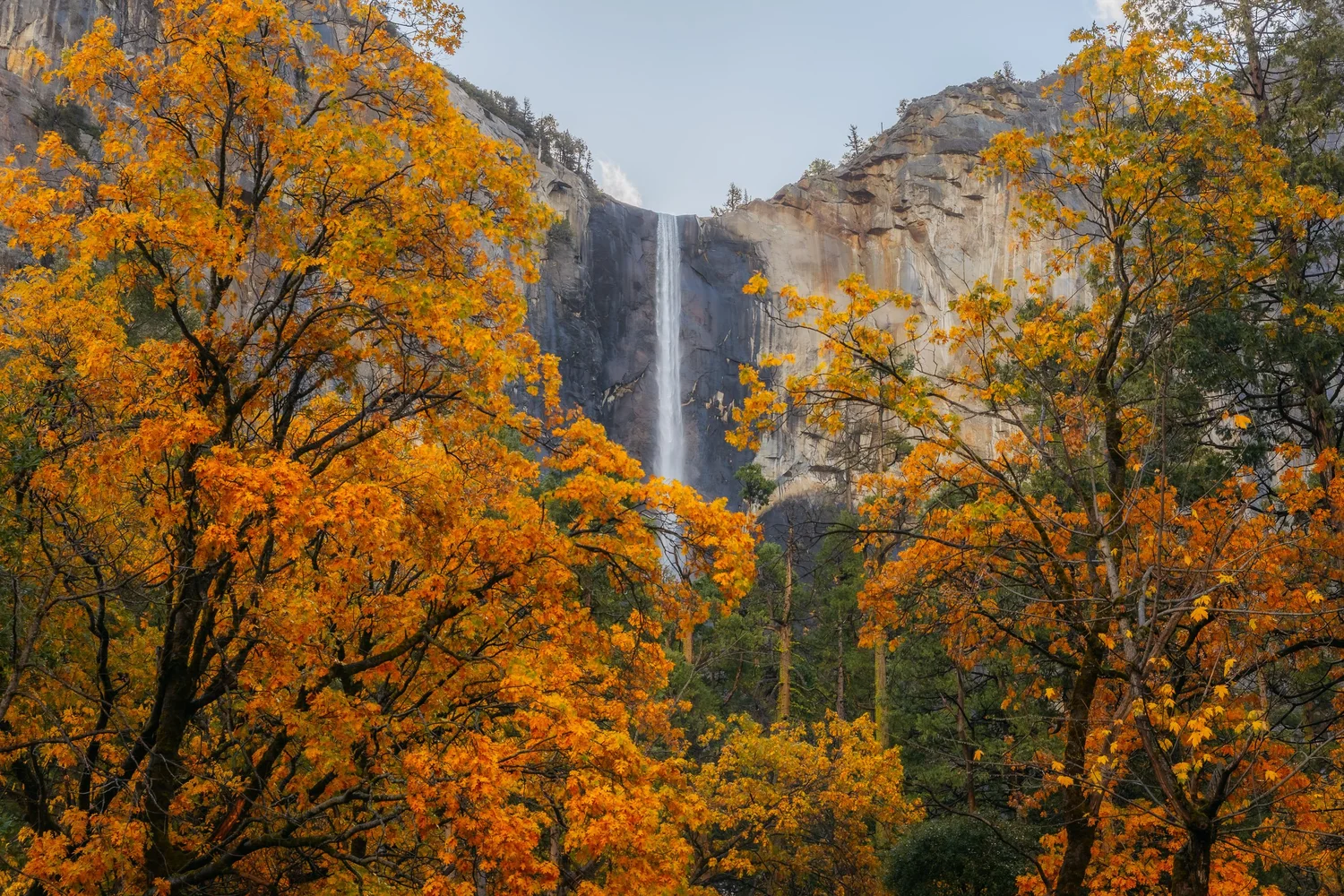 Autumn in Yosemite for Tenaya Lodge — photograph 7