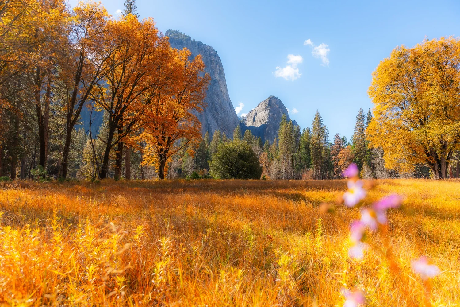 Autumn in Yosemite for Tenaya Lodge — photograph 8