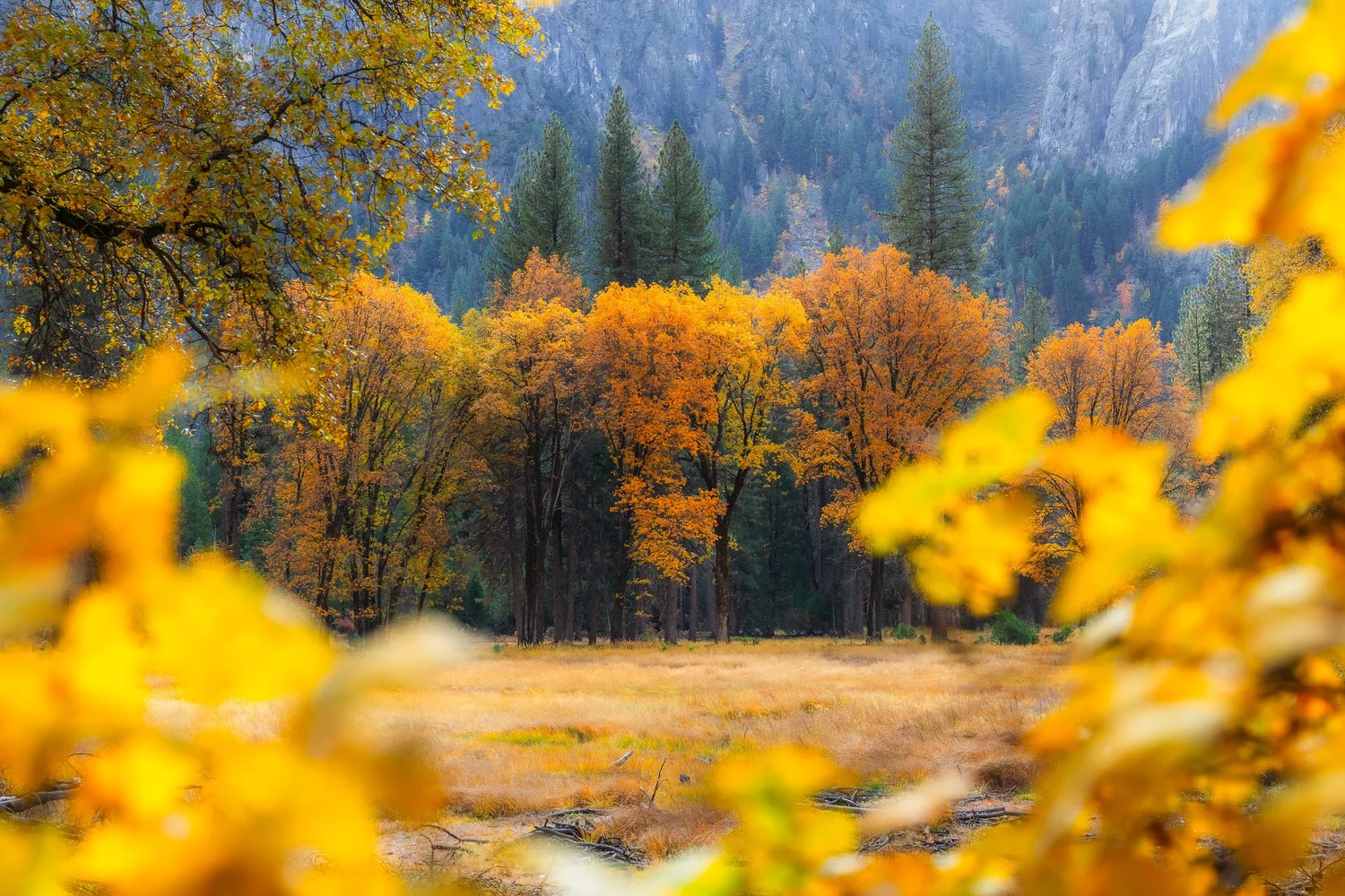 Autumn in Yosemite for Tenaya Lodge — photograph 9