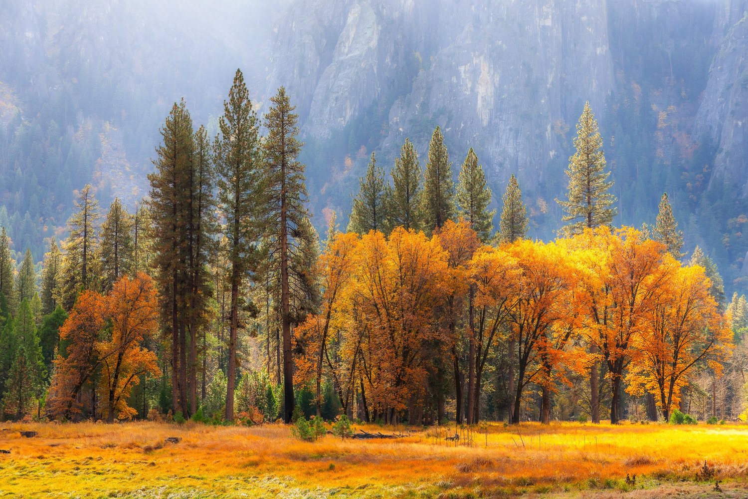 Autumn in Yosemite for Tenaya Lodge — photograph 10