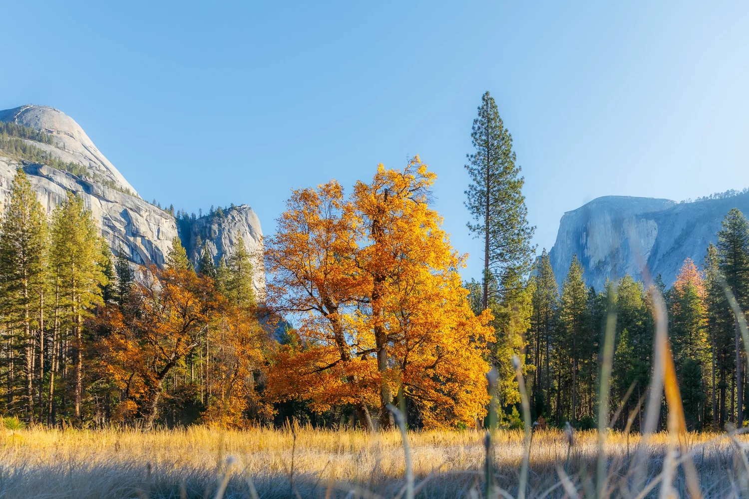 Autumn in Yosemite for Tenaya Lodge — photograph 19