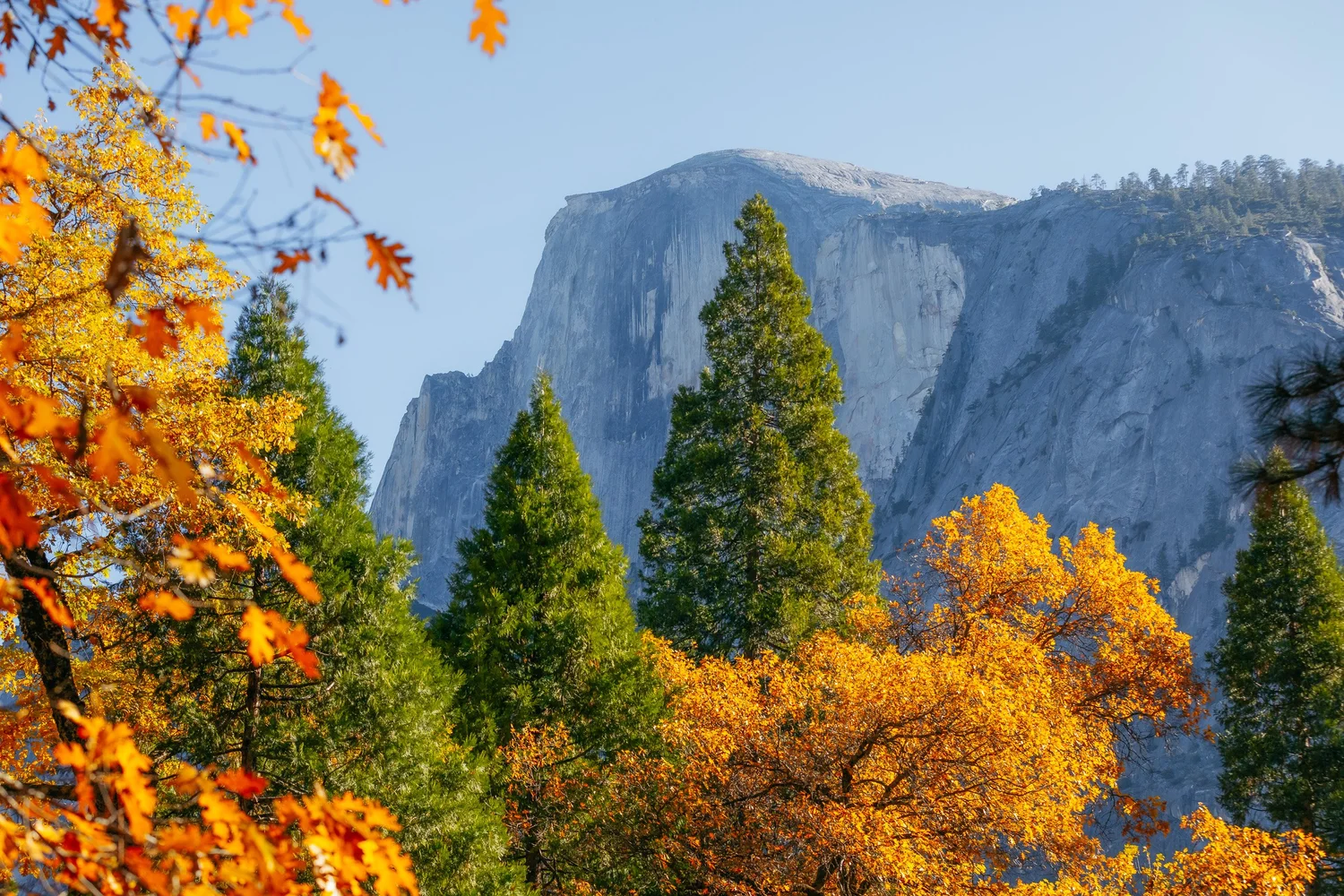 Autumn in Yosemite for Tenaya Lodge — photograph 21