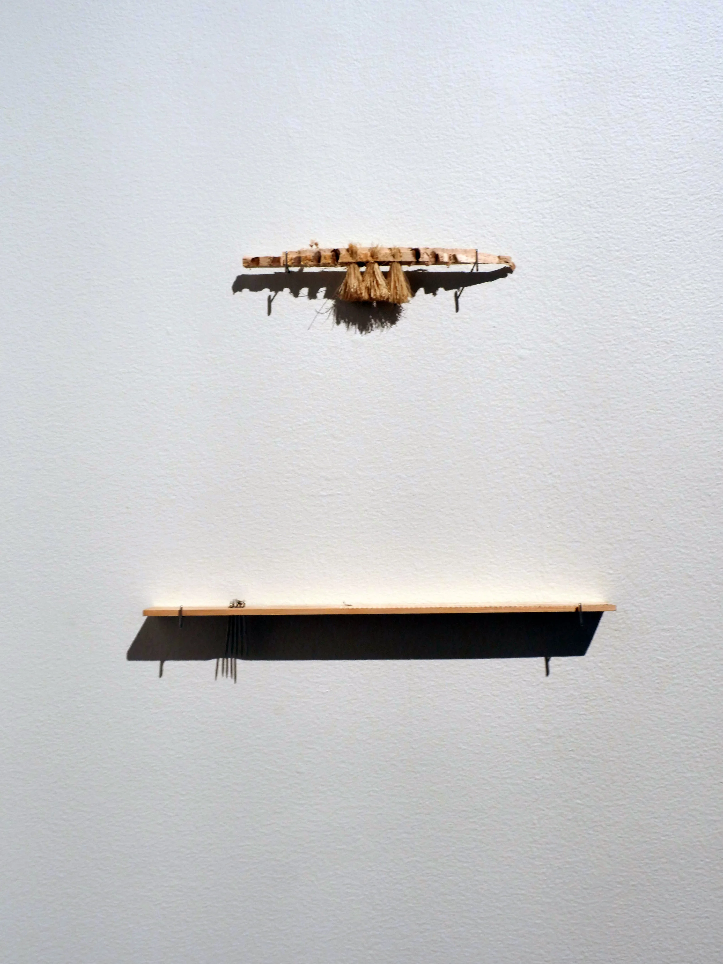 Comb and Teeth.jpg