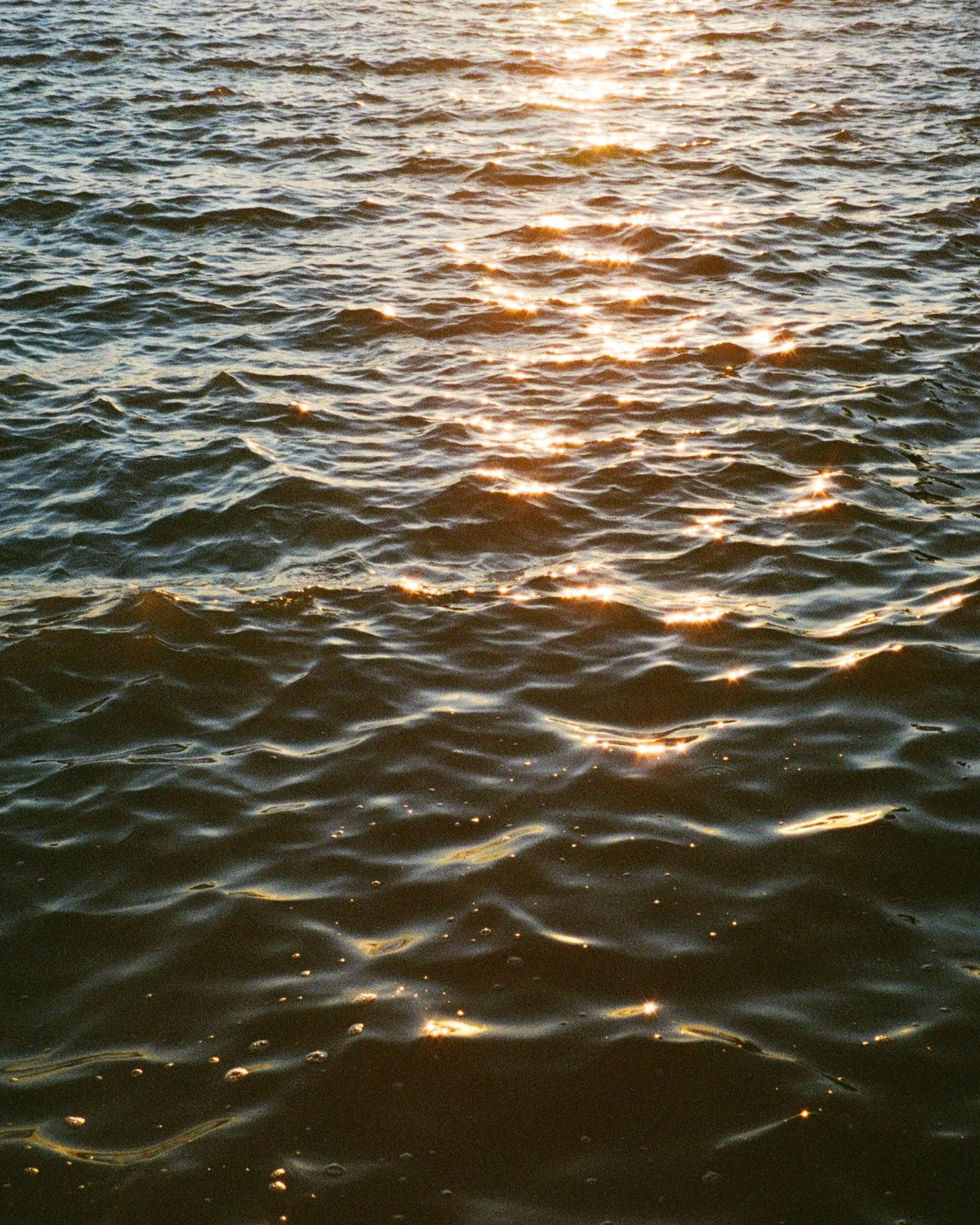 Bayside_Print.jpg