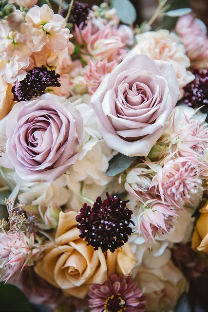 McConnell House - Stella Rose Floral