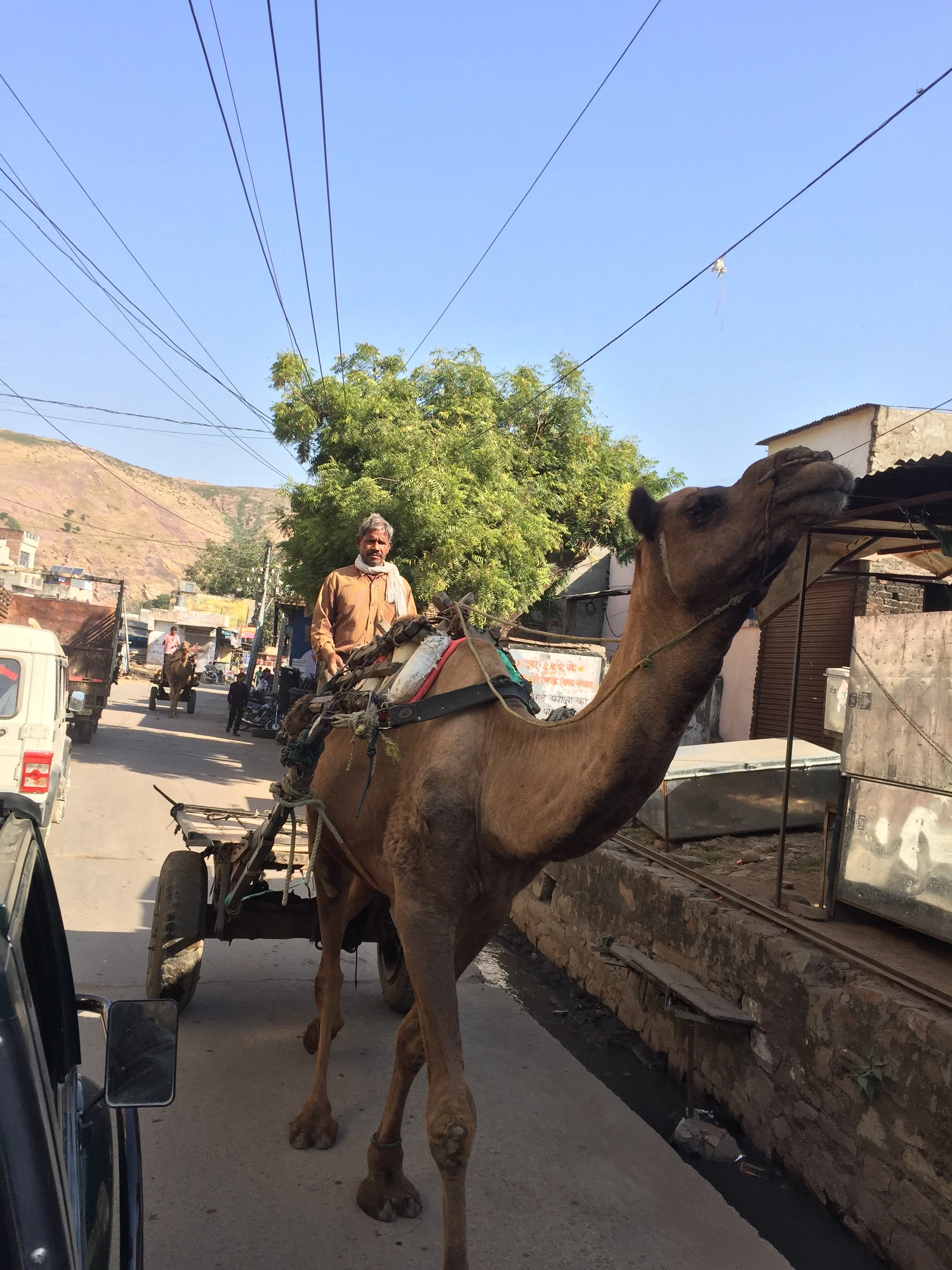 Rajasthan, India
