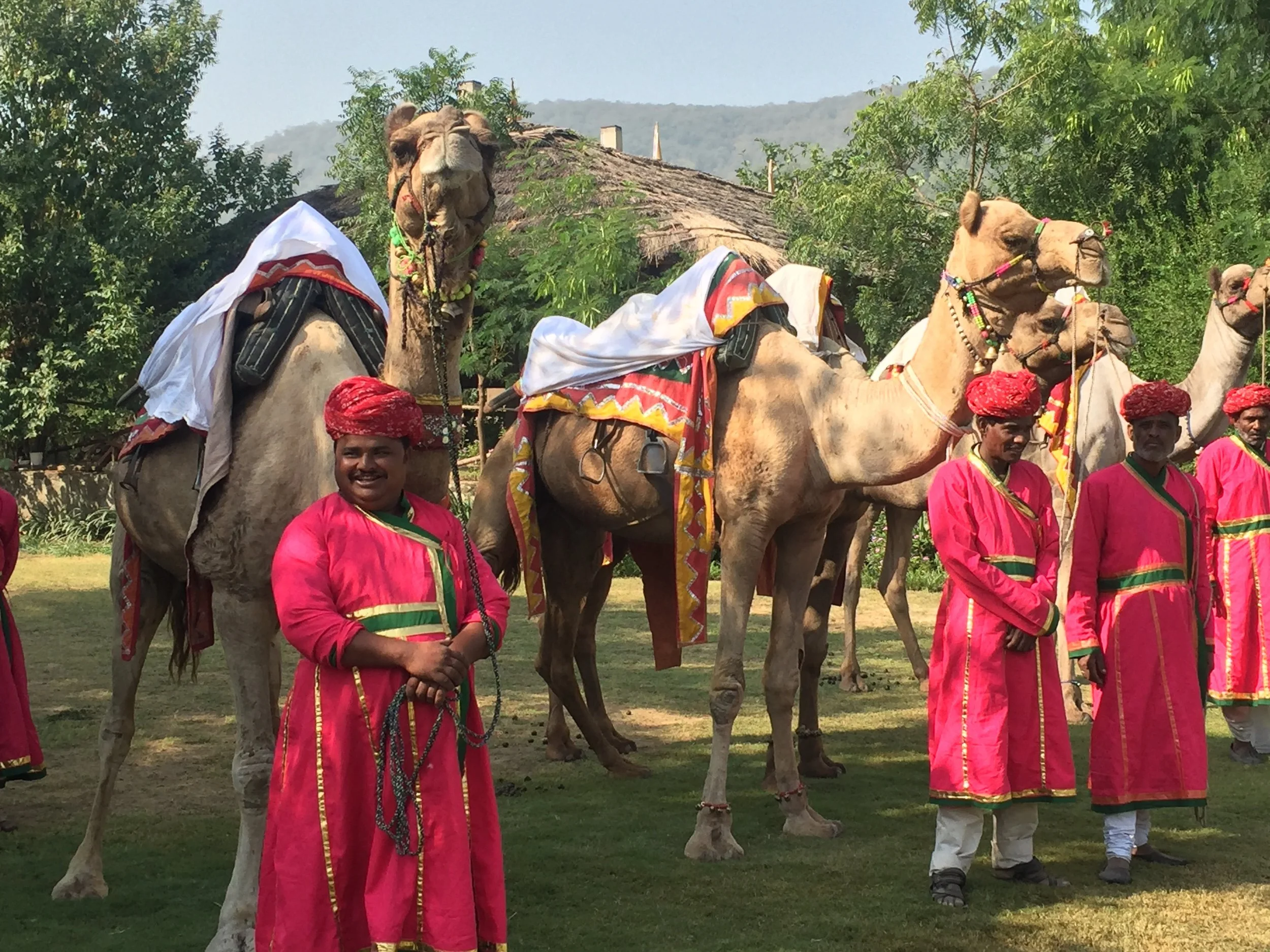 Camel Polo
