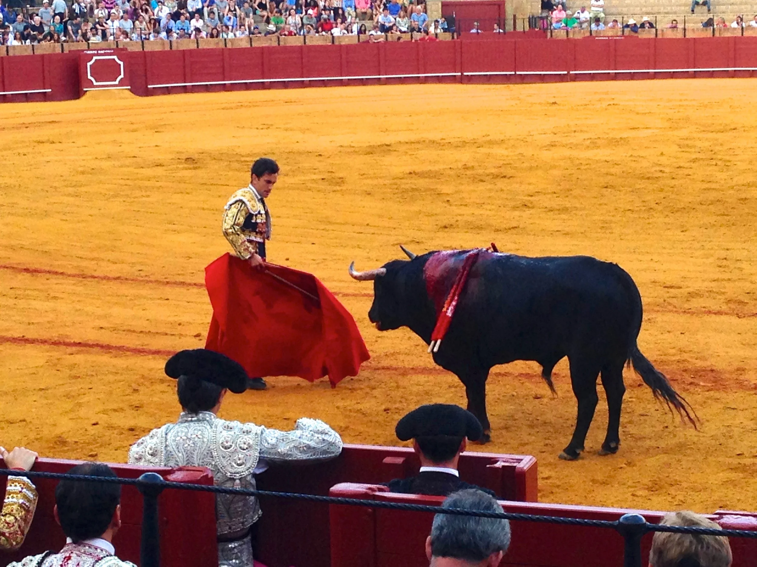 Maestranza Bullring