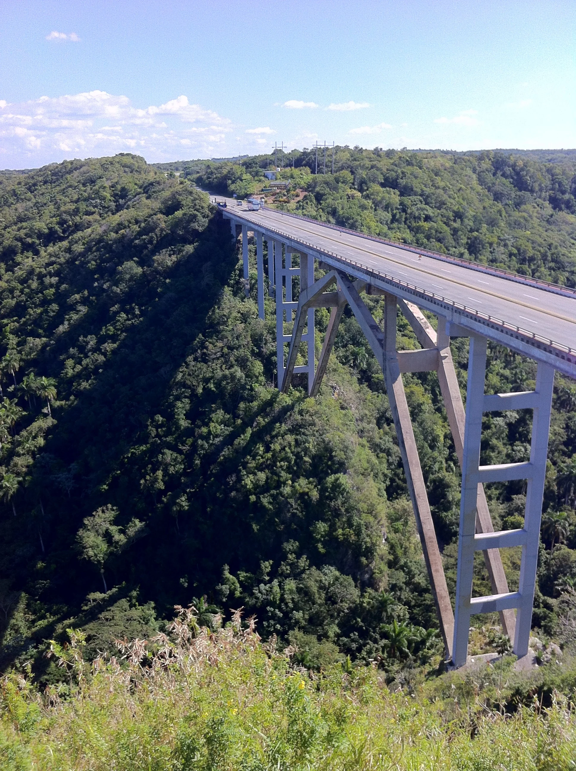 Bacunayague Bridge