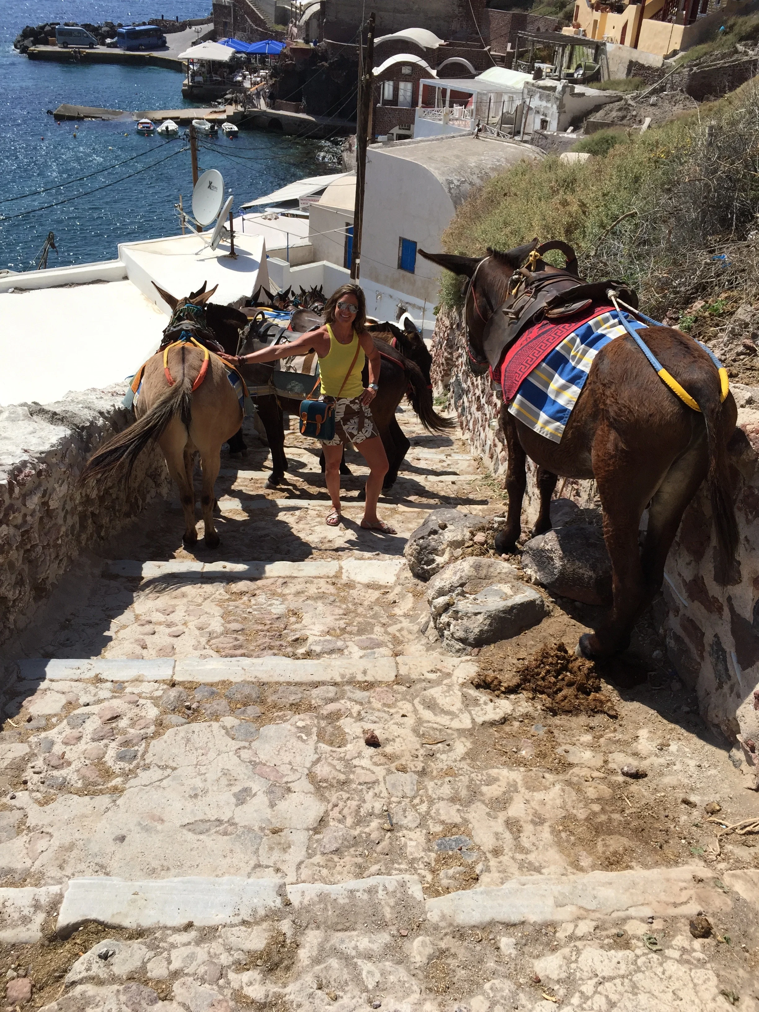 Santorini Donkey Trail