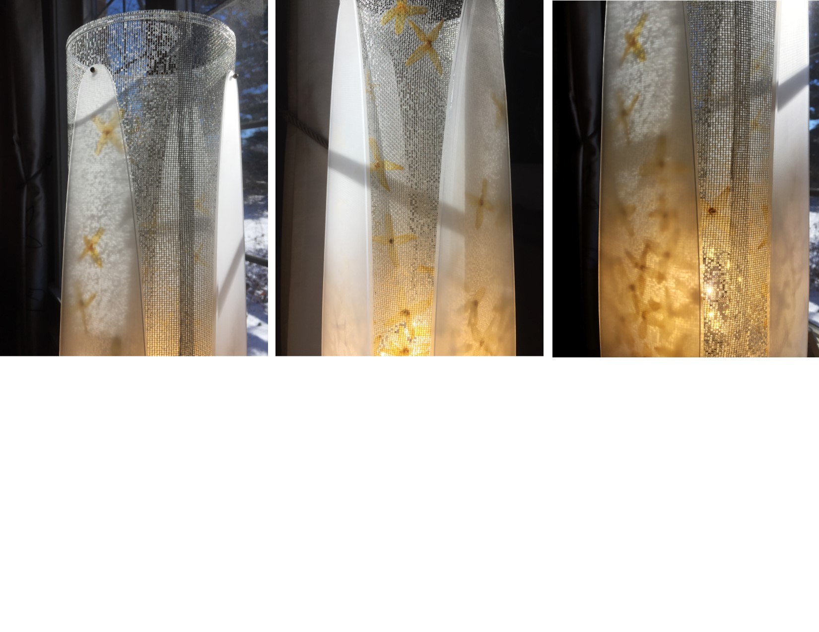 Cyl Flora 2018-04-29_03.jpg