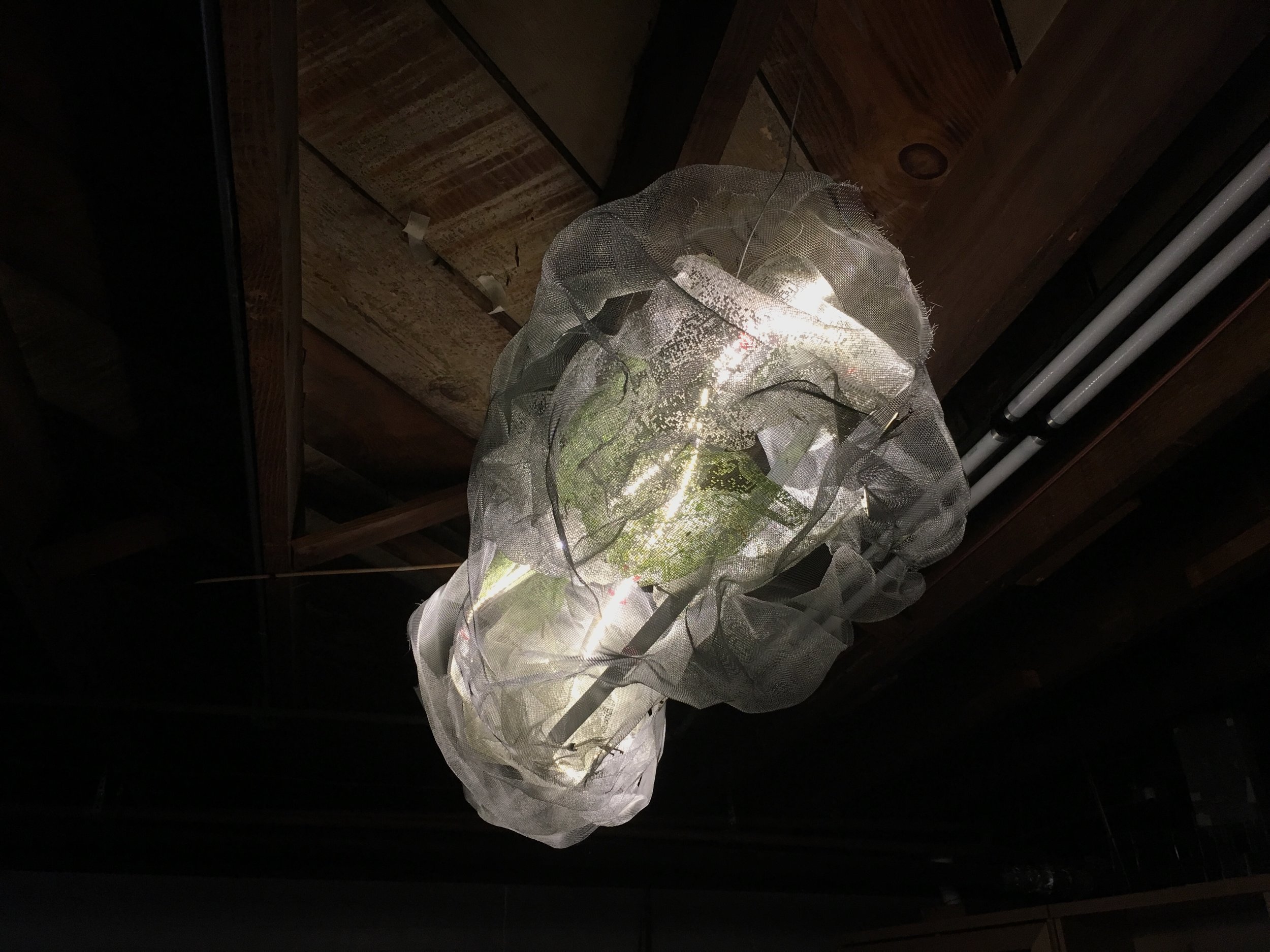 IMG_1209 (Edited).JPG