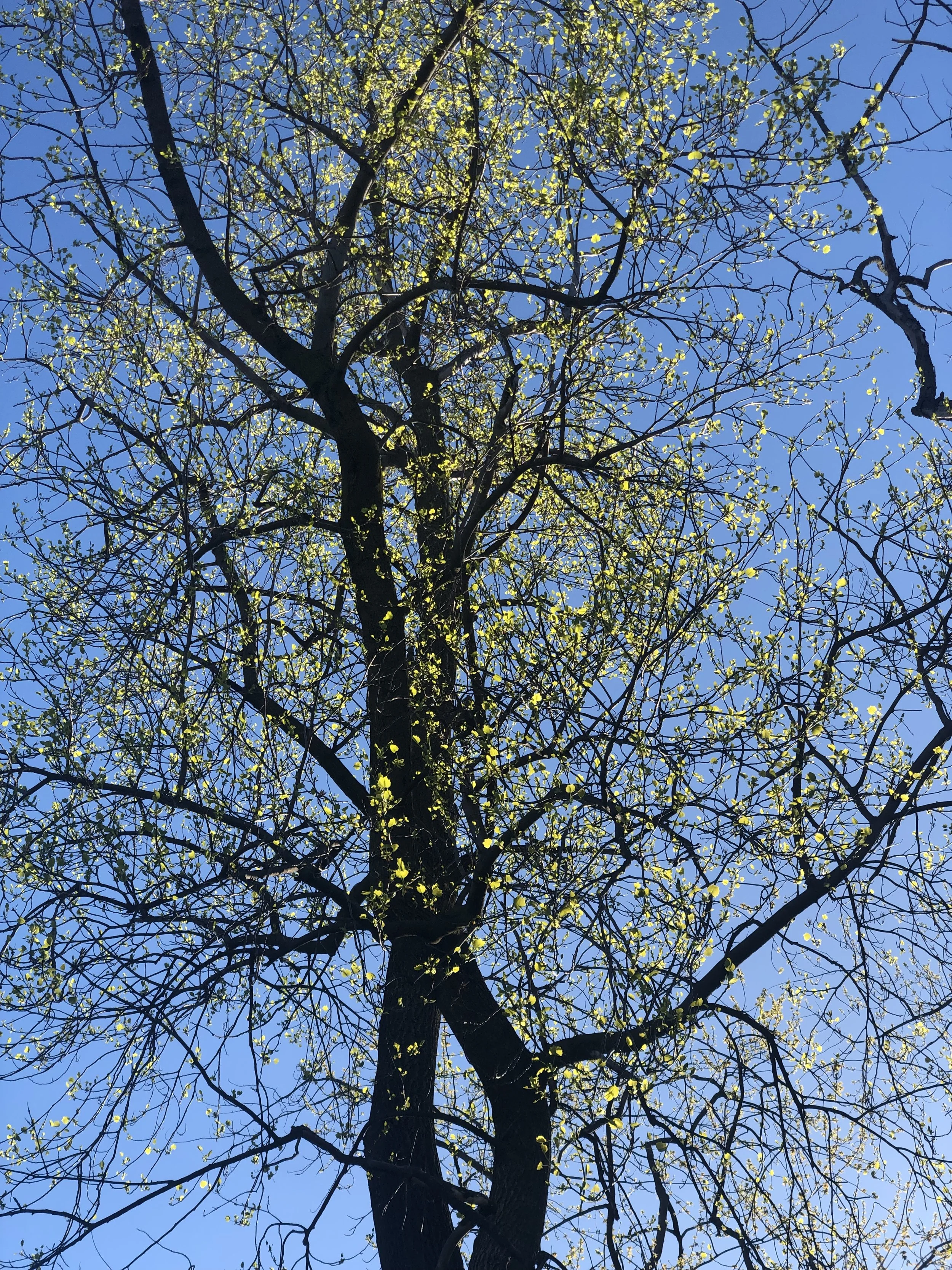 IMG_8717.JPEG