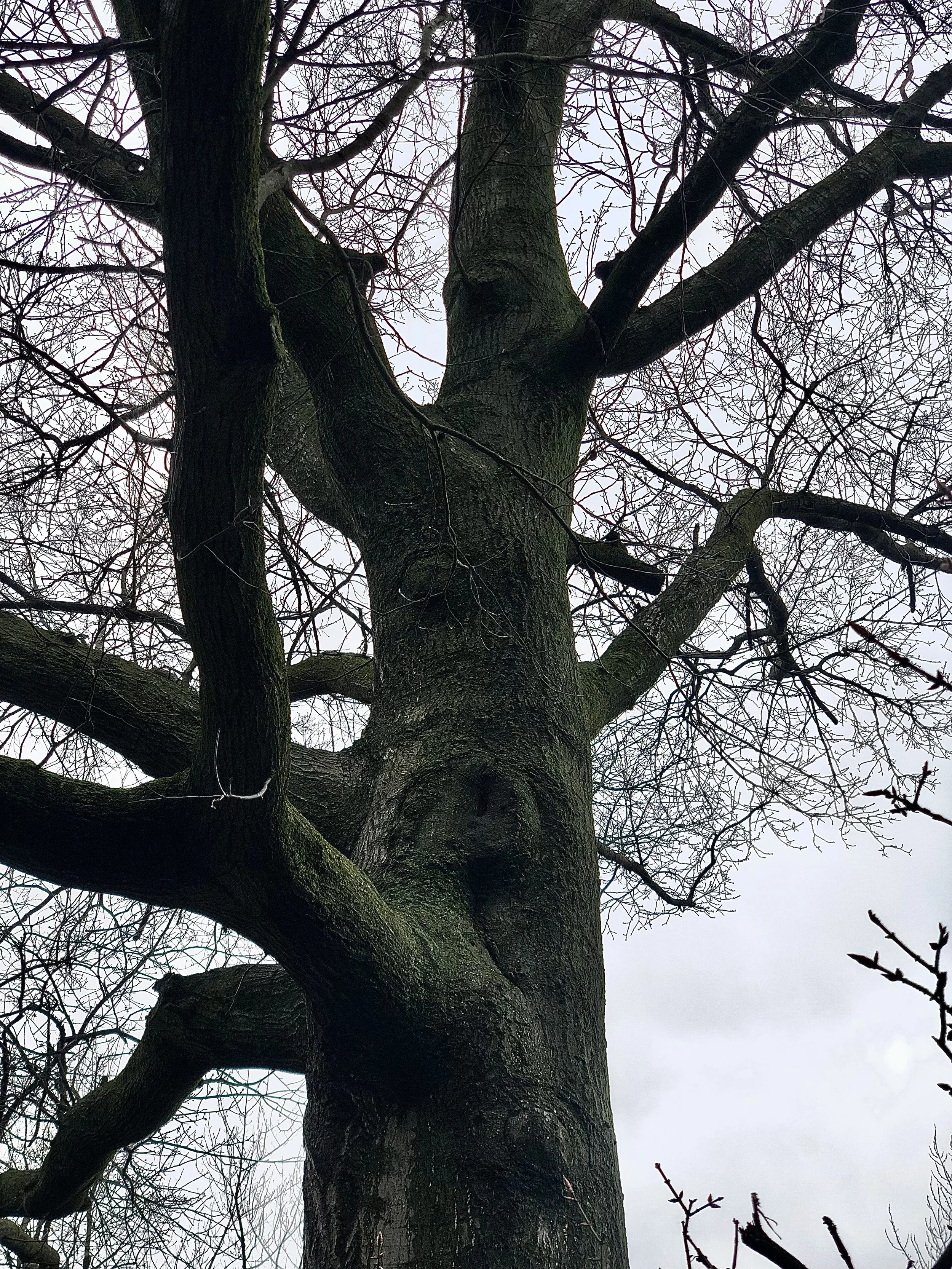 IMG_8411.jpeg