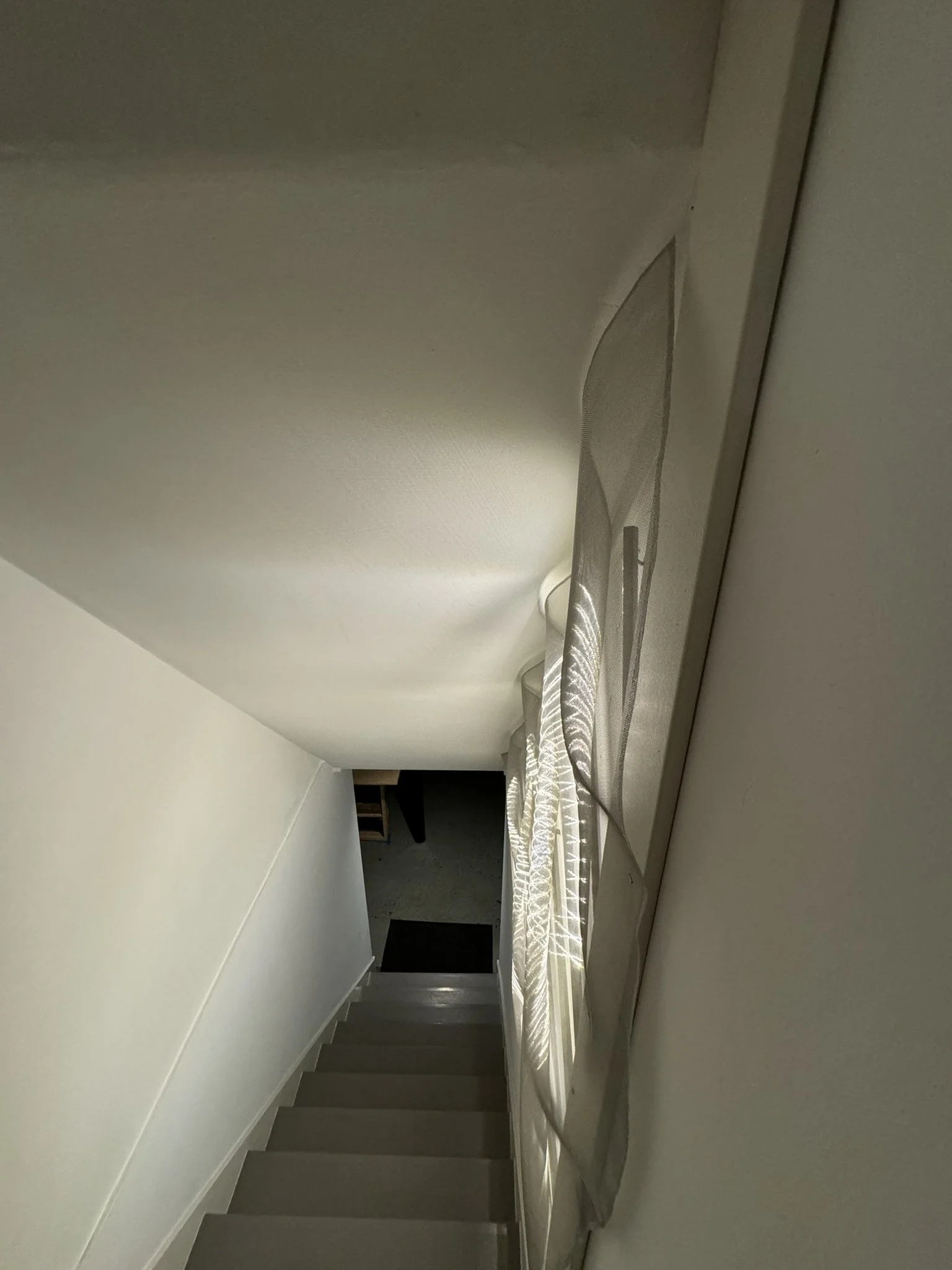 IMG_1095.JPEG