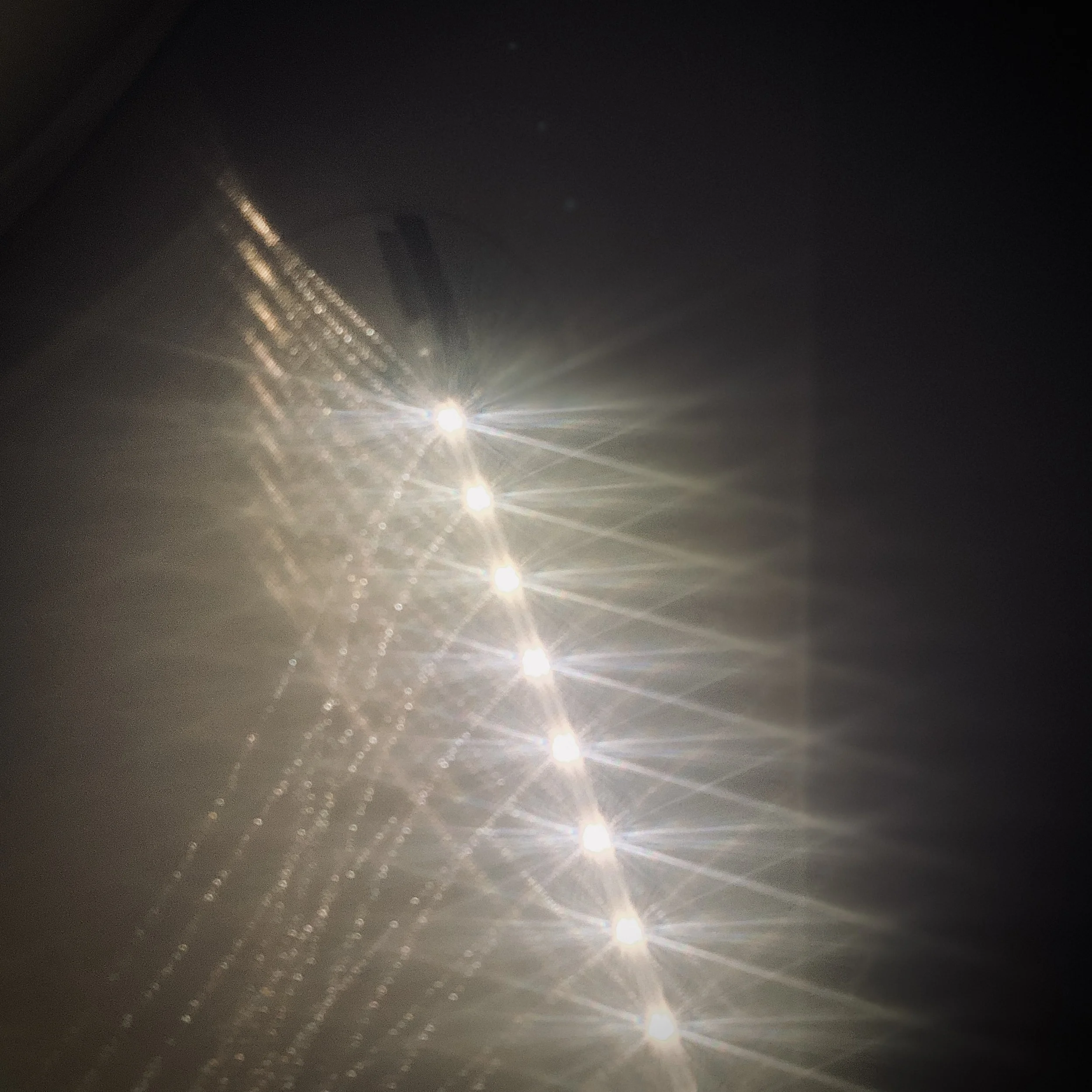 IMG_4281.JPEG