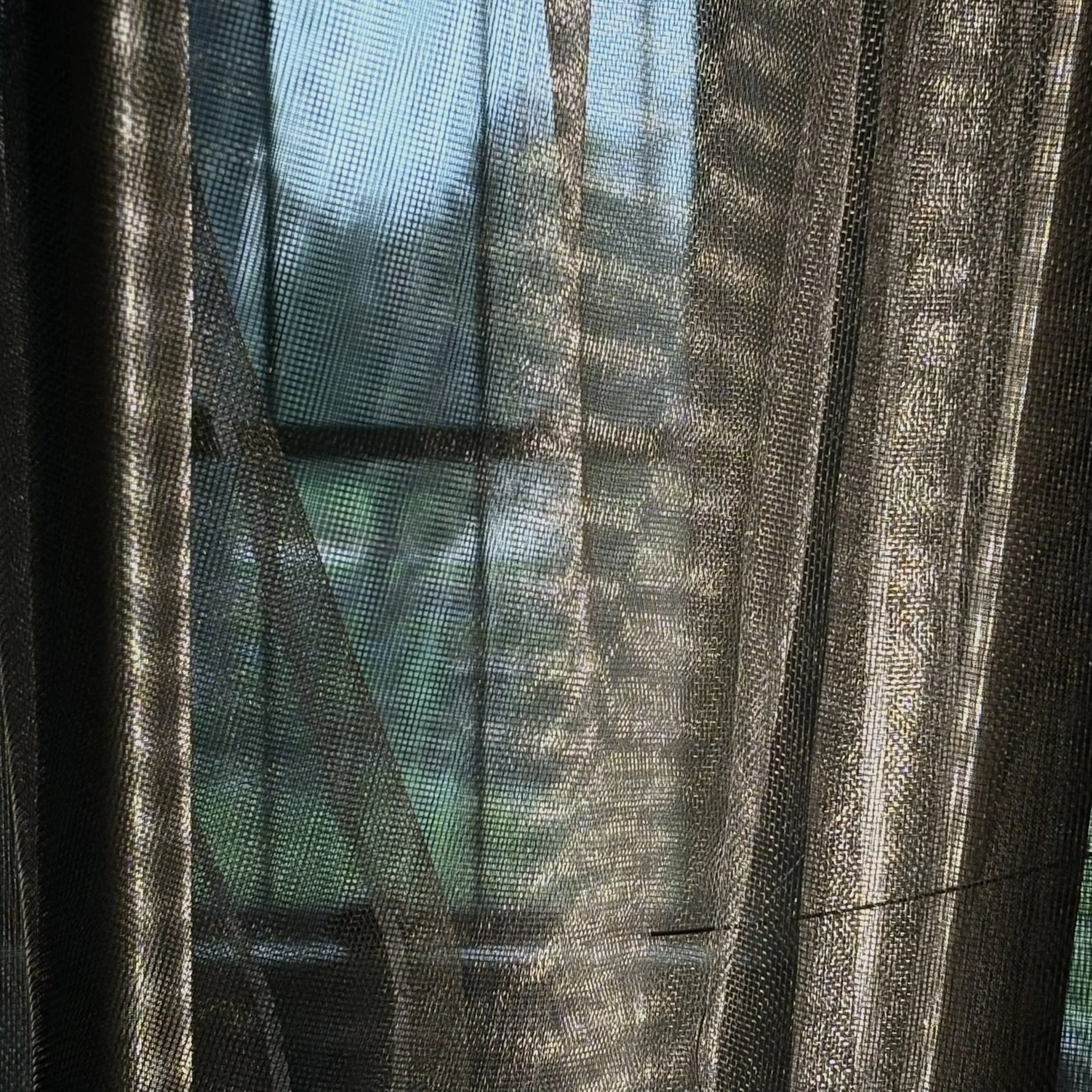 IMG_4411.JPEG