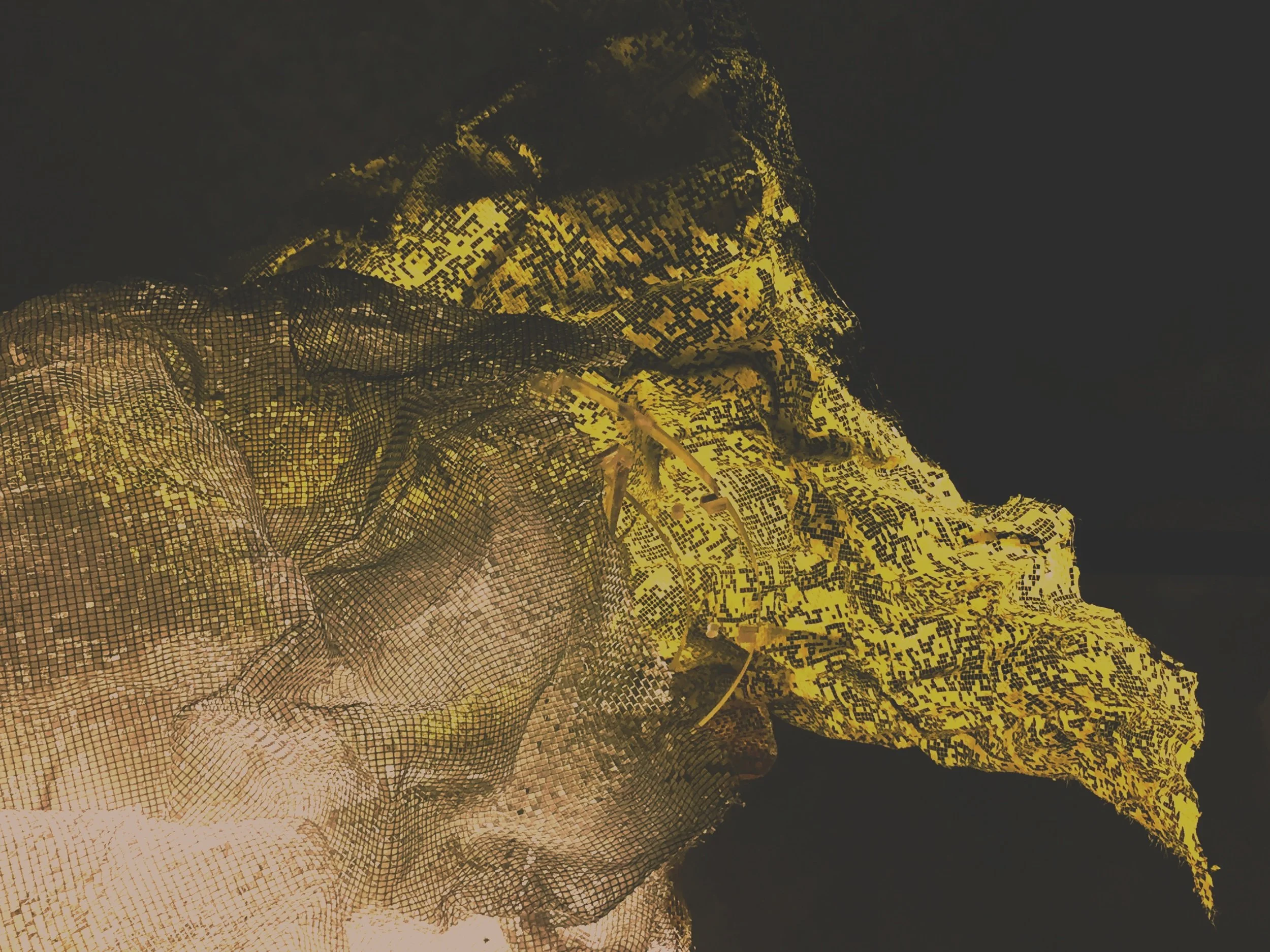 Gold Crinkle_04.jpg