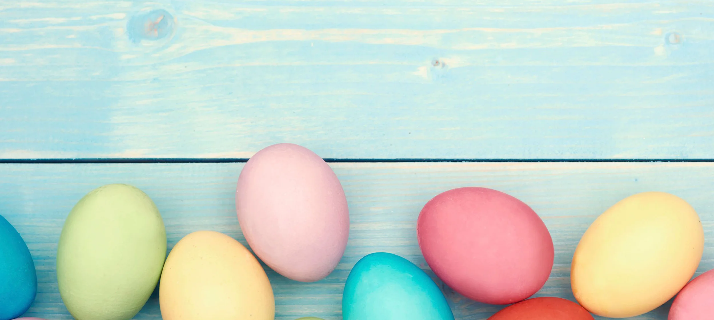 Shalom Link Mission Easter Update 