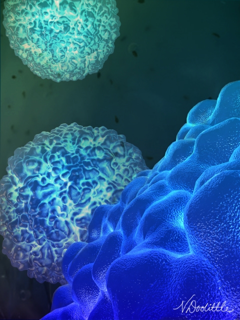 Rhinovirus