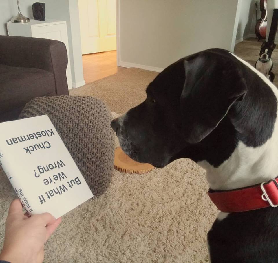 LOCAL DOG PRETENDS IT TOTALLY CAN READ | #DogsOfKimberley