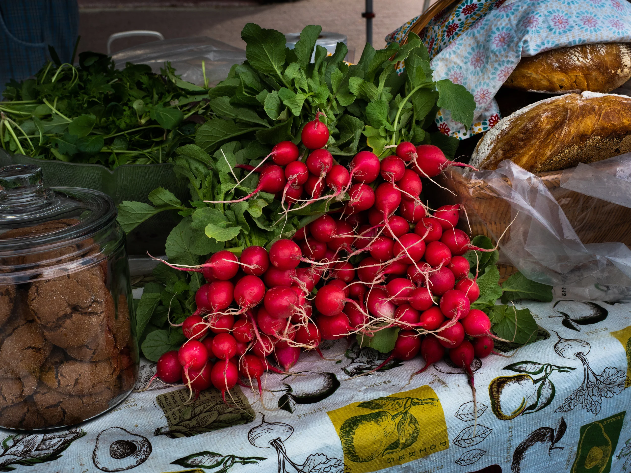 Radishes 06.21.2018.jpg