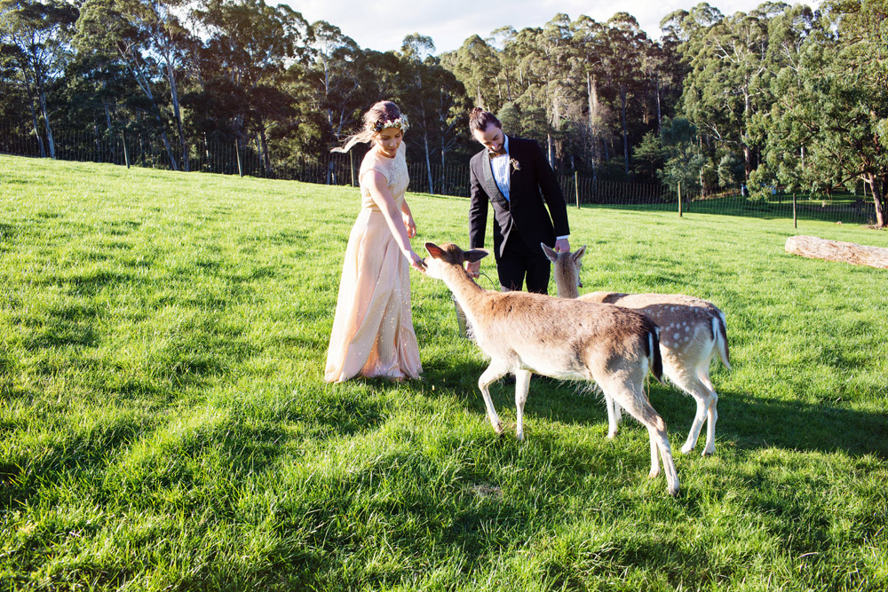 095 Gum Gully Farm wedding.jpg