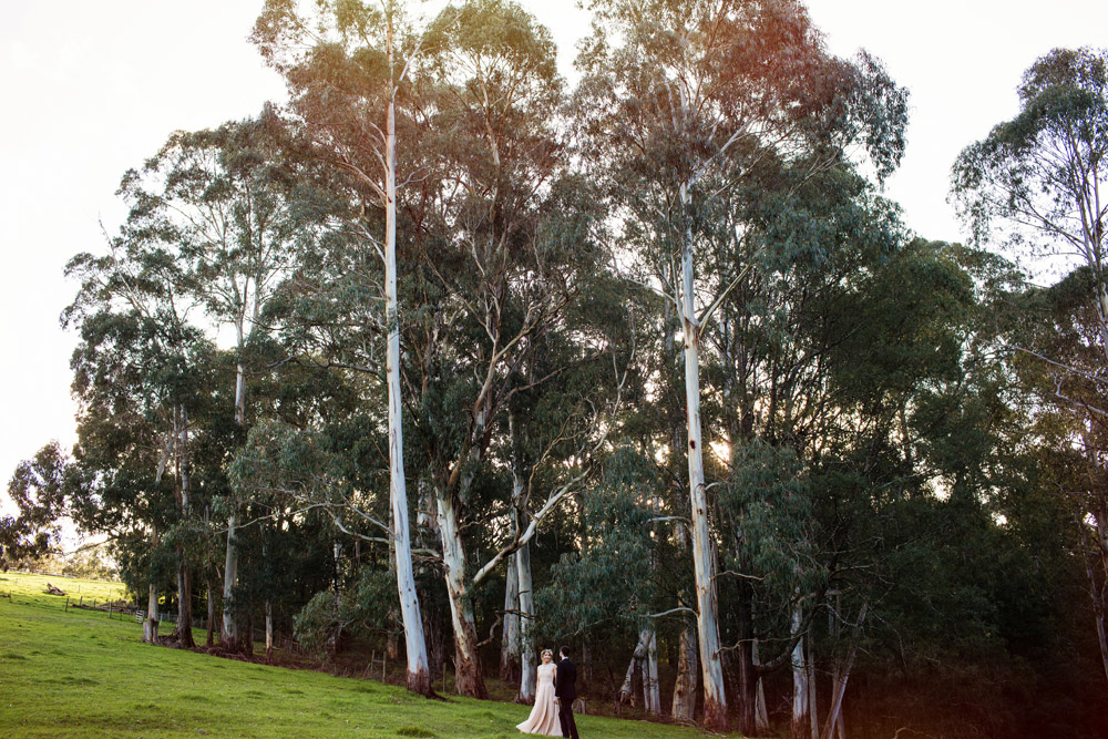 102 Gum Gully Farm wedding.jpg