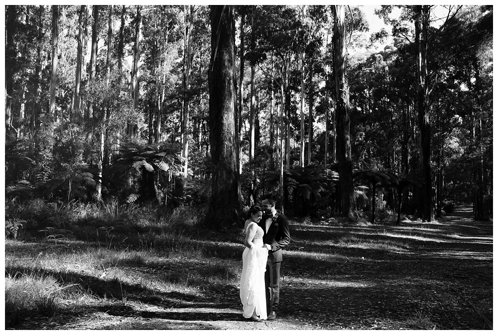 030 Gum Gully Farm Wedding.jpg