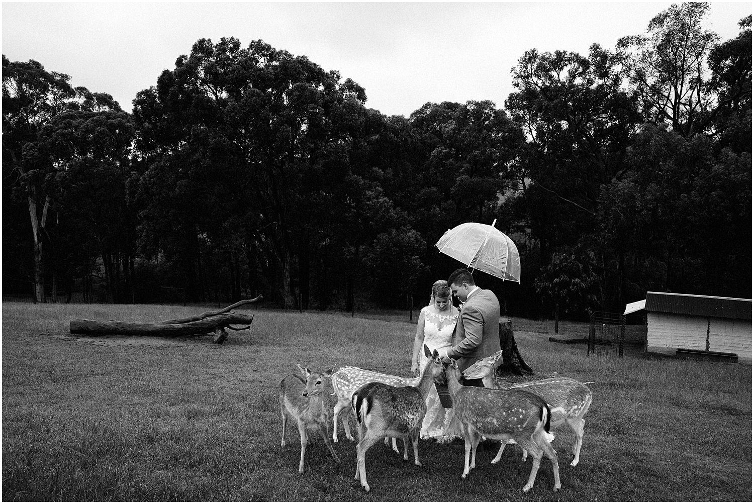 092 gum gully farm wedding.jpg