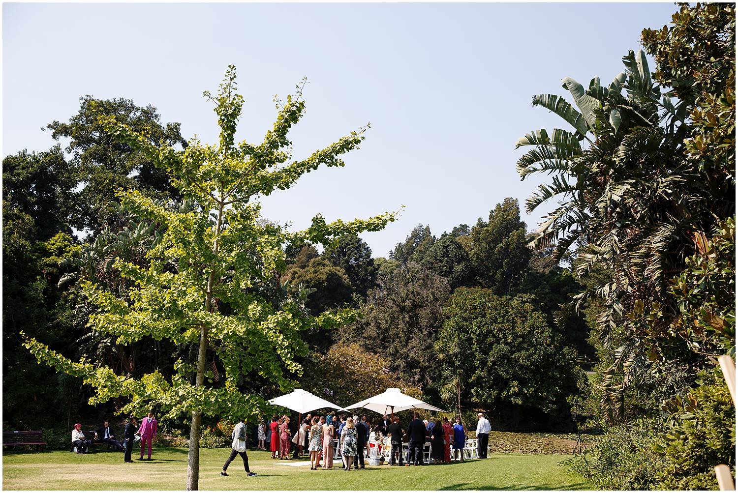 NGV botanical gardens wedding melbourne 029.jpg