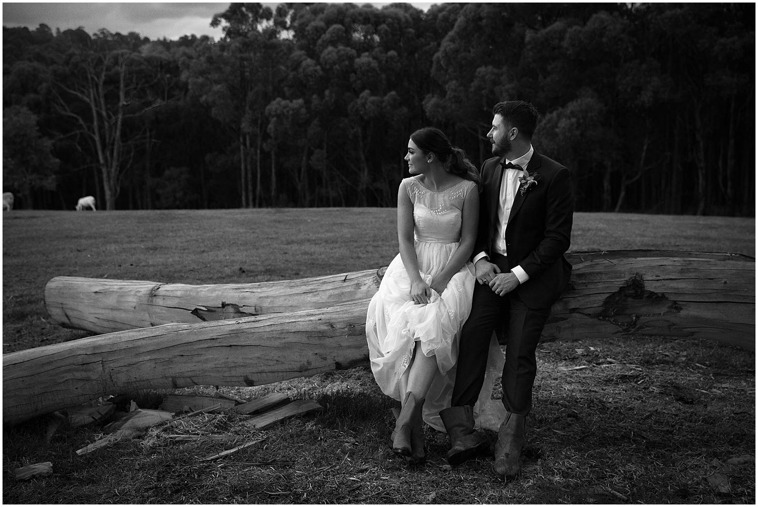 gum gully farm  wedding photography.jpg