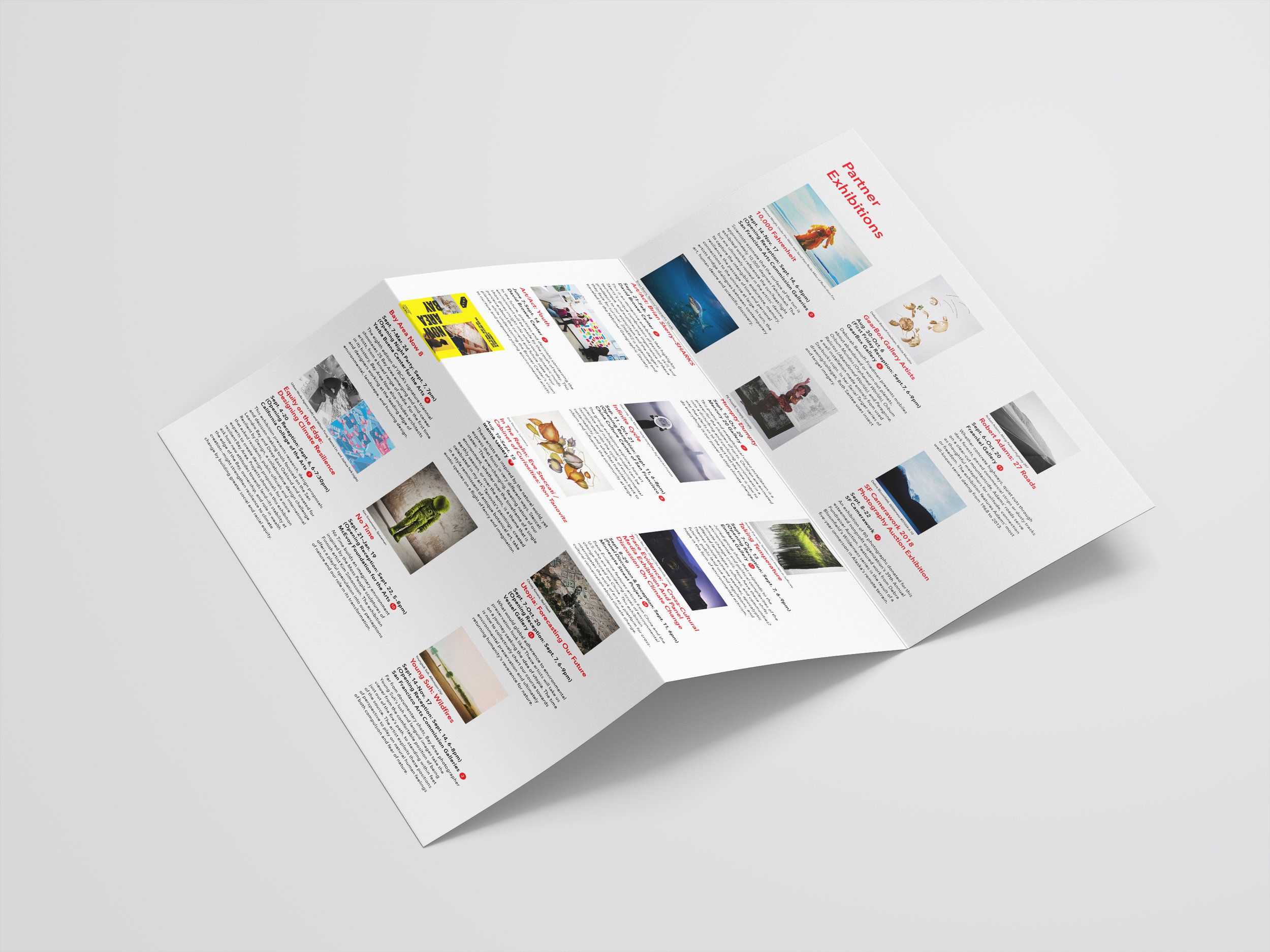 C+I_Brochure_Mockup_2.jpg