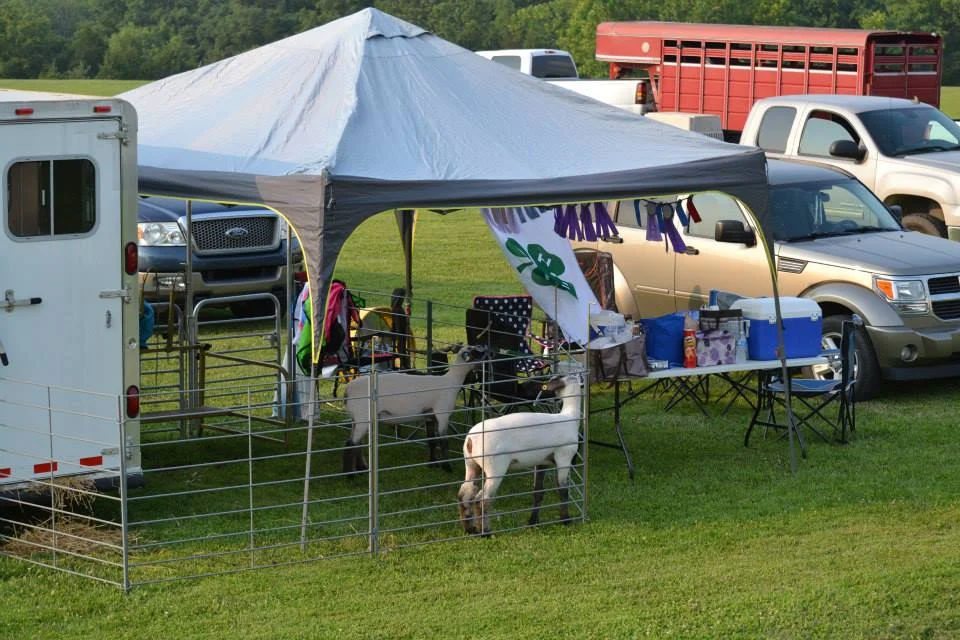 4-H5.jpg
