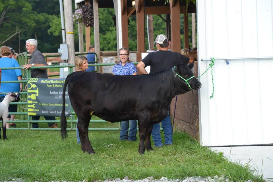 4-H3.jpg