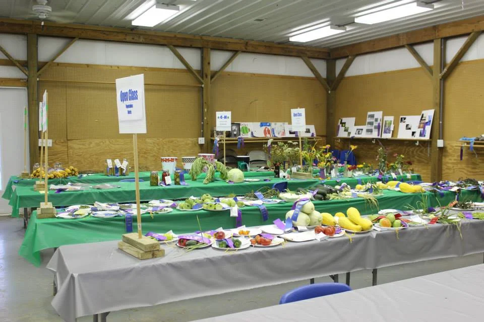 exhibits3.jpg