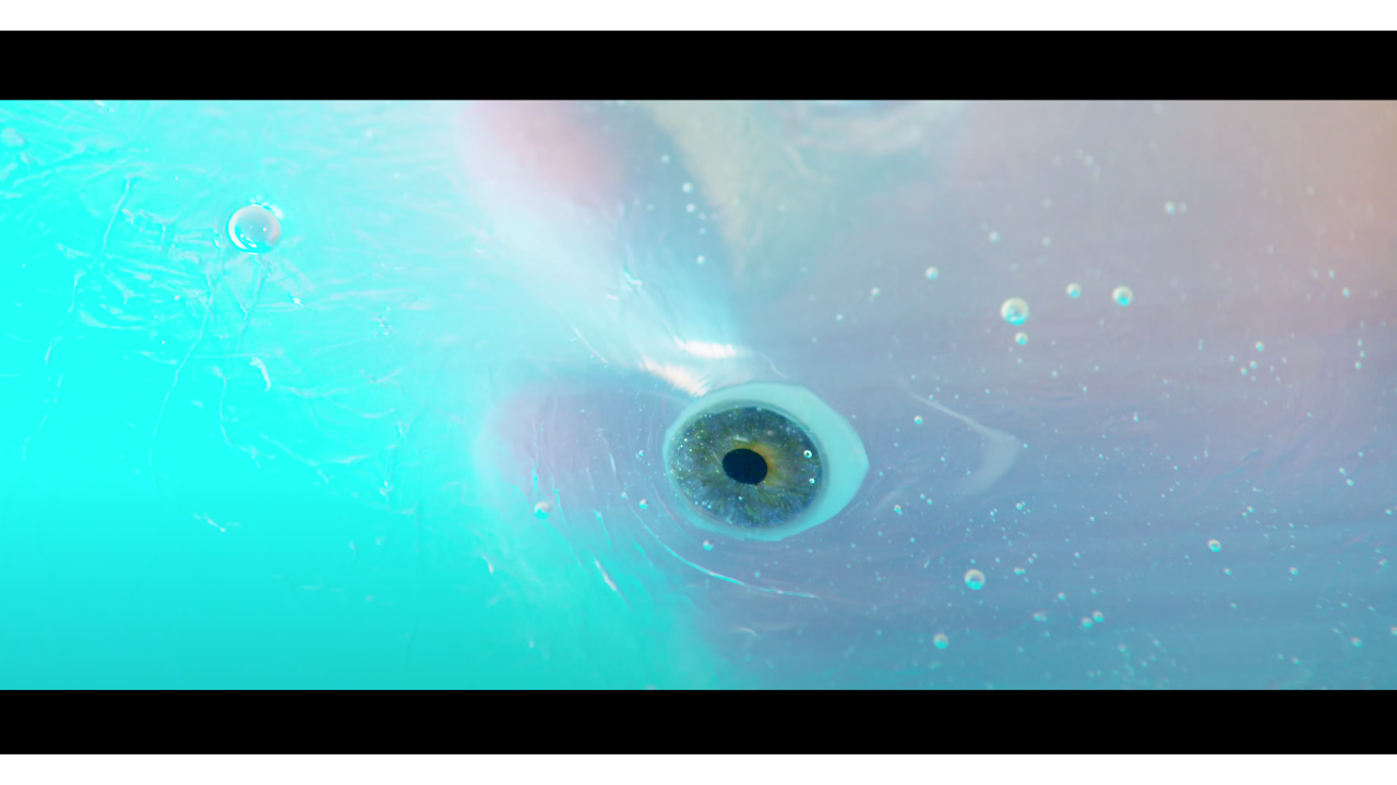 Screen Shot 2021-06-30 at 1.11.13 AM_720pForWeb0.png