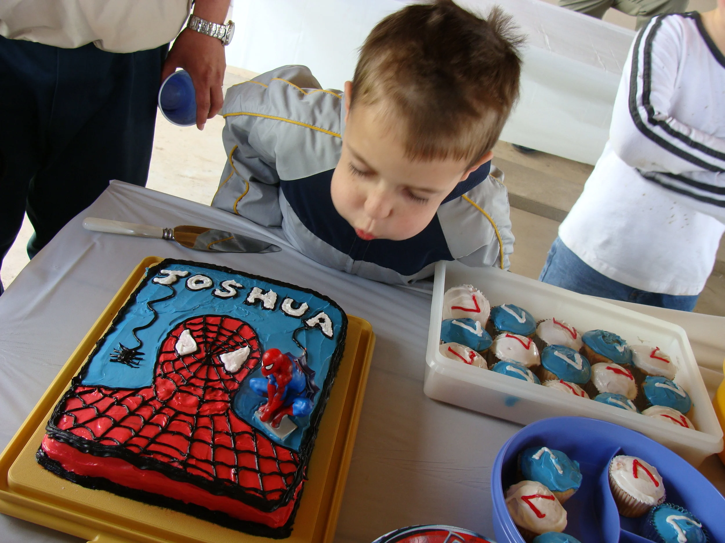 Spiderman birthday party!