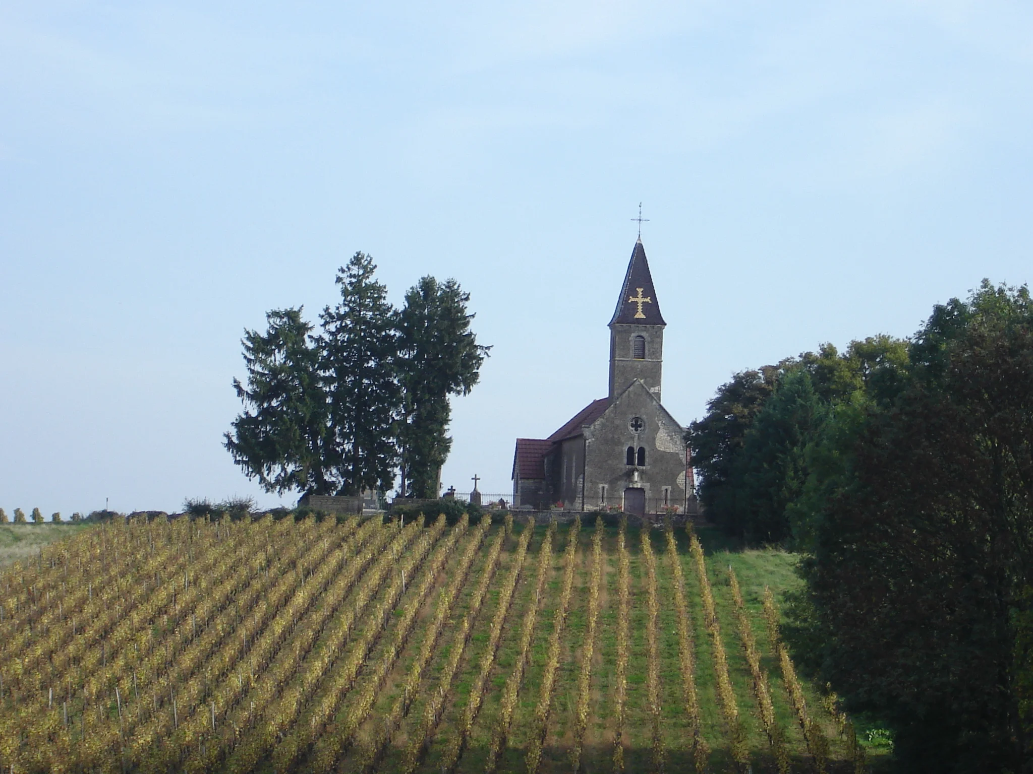 Another bike tour of the area...