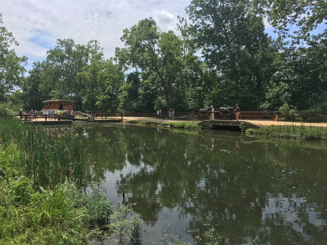 Tow Path - C&O Canal