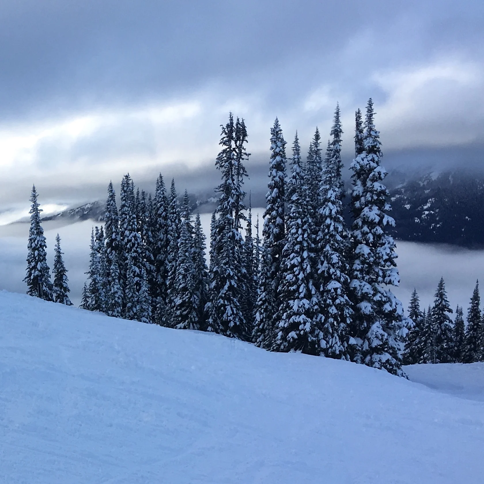 Navigating Whistler Blackcomb During The Winter