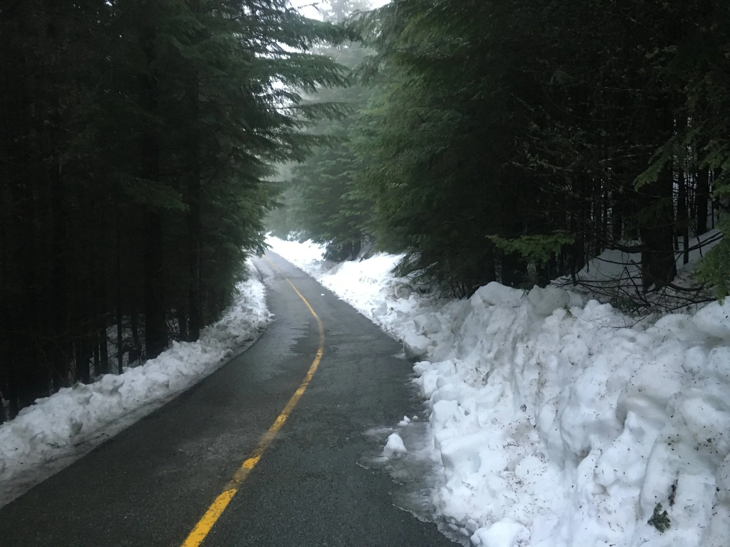 whistler-village-trail