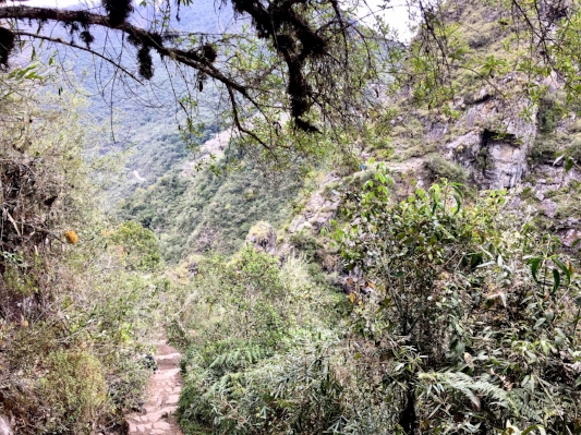 huayna-picchu-trail