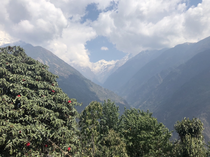 View of Annapurna