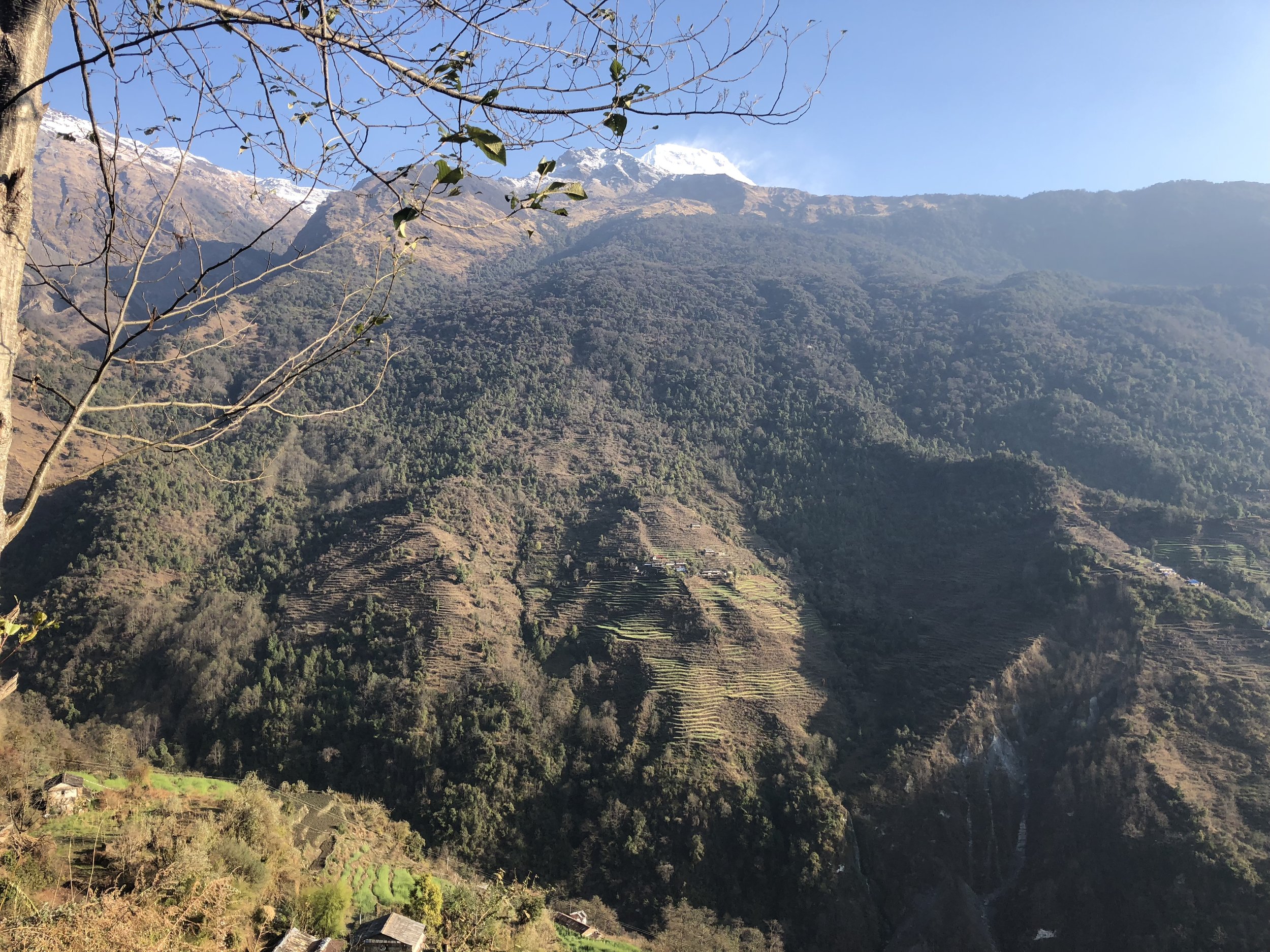 Hiking to Annapurna