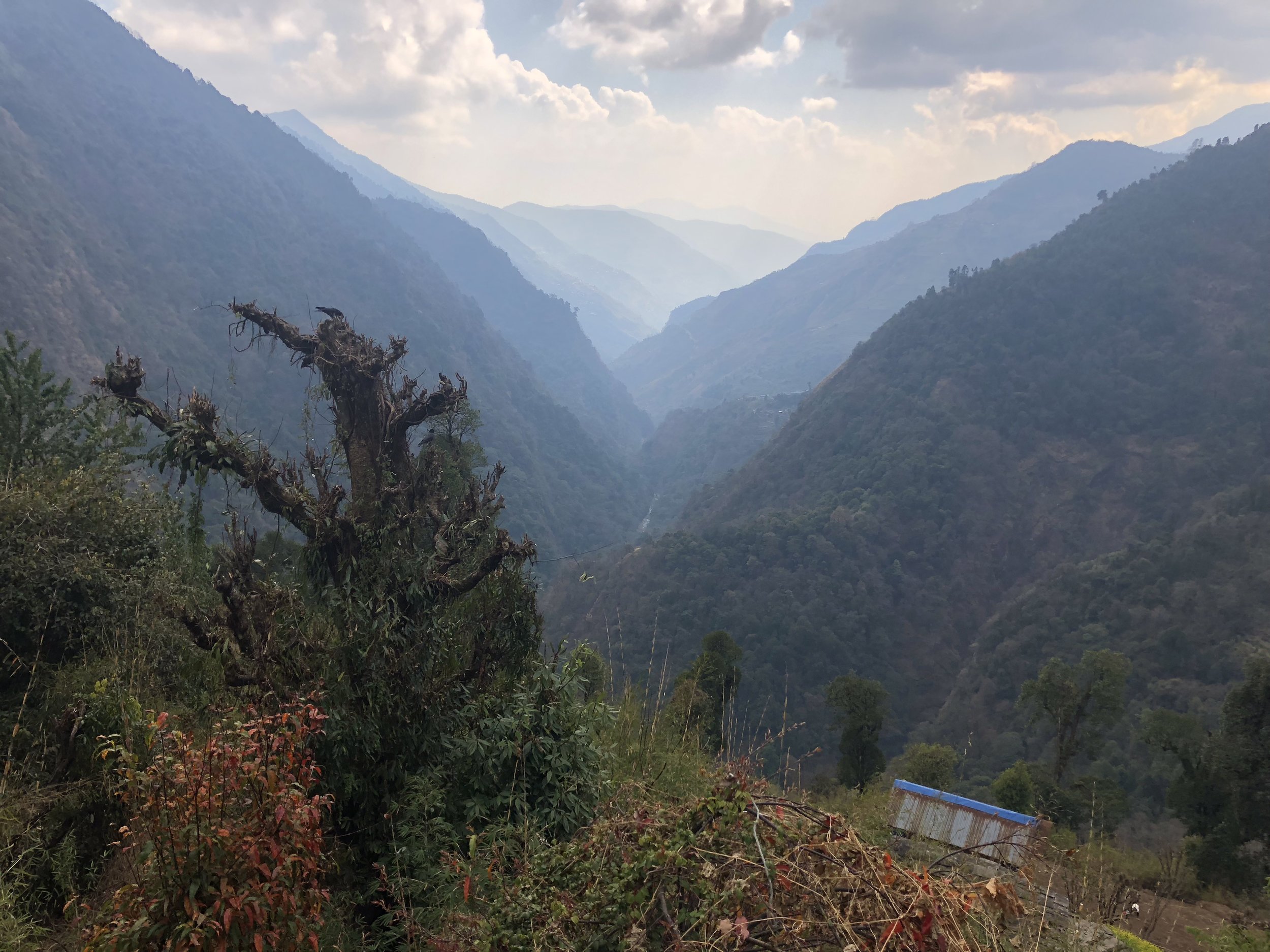 Annapurna river gorge